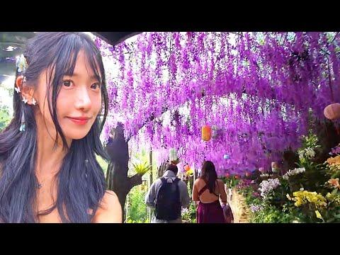 Unique Tropical Paradise In China!