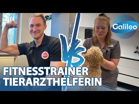 Gehaltscheck: Was verdienen Tierarzthelferin Laura und Fitnesstrainer Dennis?
