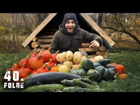 Die LETZTE große ERNTE | Tag 40/100 autark