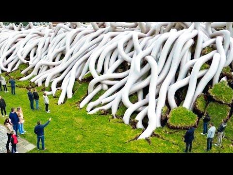 Das ist wirklich in den Gärten der Leute passiert