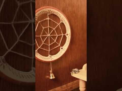 Lucas the Spider Shows his Spinning Web #lucasthespider #showandtell #kidsvideo