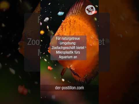 Für naturgetreue Umgebung: Zoofachgeschäft bietet Mikroplastik fürs Aquarium an