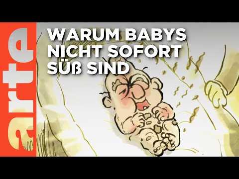 Das Geheimnis des Kindchenschemas | Wer nicht fragt, stirbt dumm | ARTE
