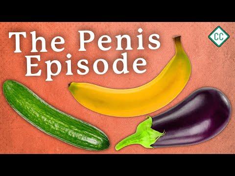 The Penis Explained: Sex Ed #3