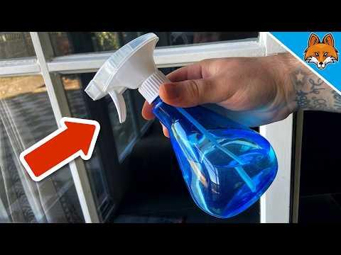SO sauber waren deine Fenster NOCH NIE💥(Die Nachbarn STAUNEN)🤯