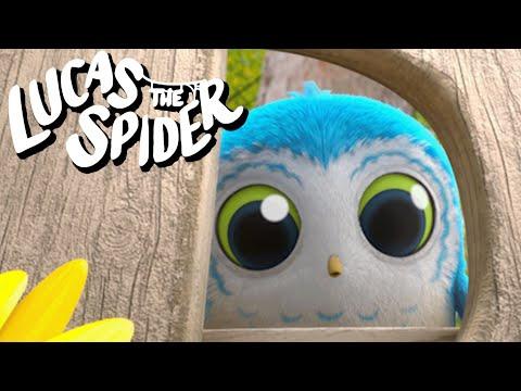 Arlo Never Listens to Lucas The Spider + More Cartoons for Kids
