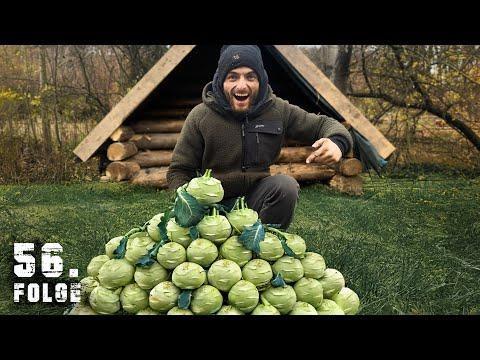 Die große Kohlrabi ERNTE | Tag 56/100 autark