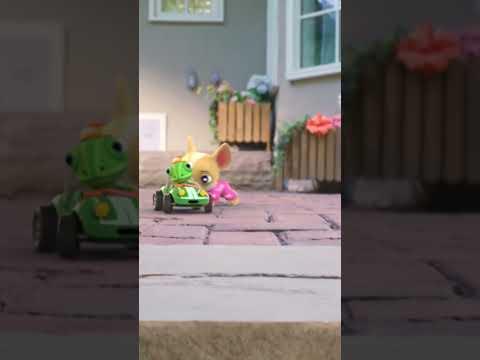 Taking Avocado On Her Walk #puppy #walking #kidsvideo