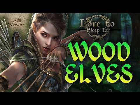 The Wood Elves of Valenwood | Complete Bosmer Lore ▶ Elder Scrolls Lore to Fall Asleep To (No AI)
