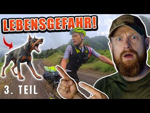 33 Stunden OHNE SCHLAF?! - Basti MUSS an STRAßENHUNDEN vorbei! | Fritz Meinecke reagiert