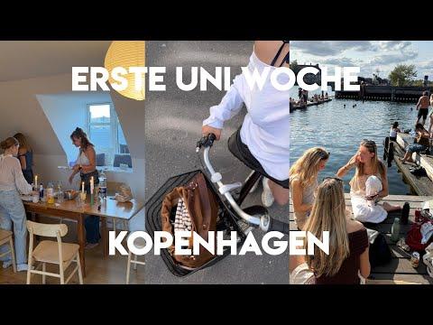 Kopenhagen erste Tage, uni Start, Life Update 