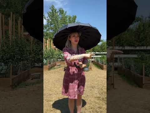 Where did the time go?