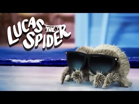 Lucas Has a Solo Dance Party at Night!  | Lucas The Spider