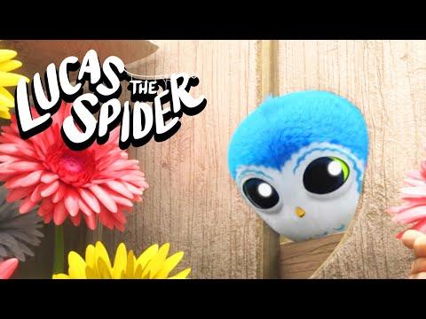 Oh no! Arlo gets STUCK! |  Lucas The Spider