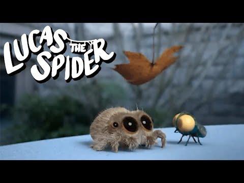 Lucas the Spider's Play Time in Fall 🍂 + More Kids Cartoons
