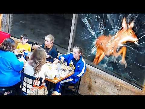 Lustigste Restaurant-Pannen, die jemals vor der Kamera eingefangen wurden
