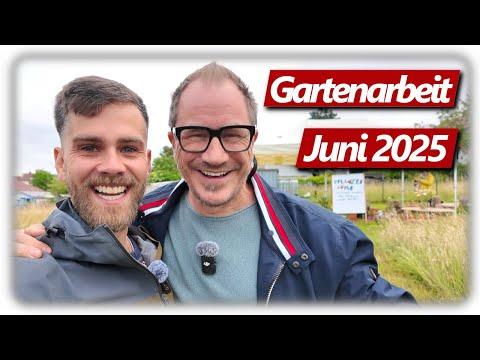 Gartenarbeit Juni | Wichtige Feigen Pflege, Jungpflanzen kaufen, Safran anbauen, Hühner und mehr