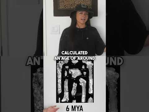 how they discovered orrorin's age #humanevolution #fossildiscovery #ancienthumans