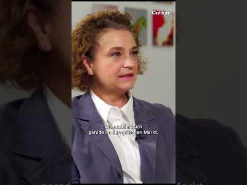 PayPal unter der Lupe 🔍