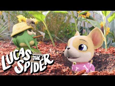 Lucas the Spider and Avocado Play Outdoors + More Cartoons for Kids