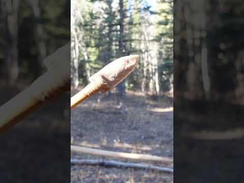 BREAKING Arrowheads On Purpose #survival #flintknapping #archeology #buildandtest #primitiveskills