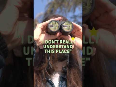 I saw this town