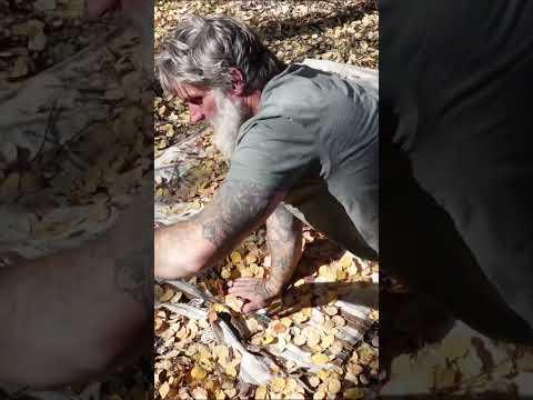 TENTS Suck - Make A LEAF Litter Bed #survival #primitiveskills #bushcraft #camping #shelter #nature