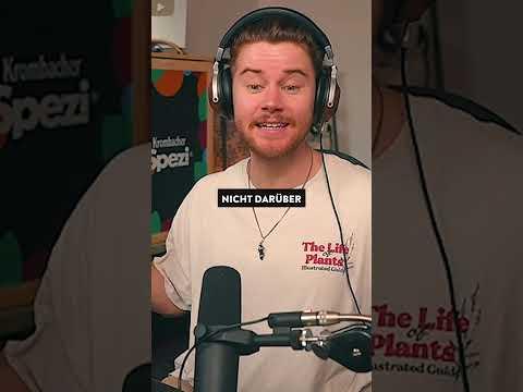 TJ & Desy roasten Andres Buch Scam