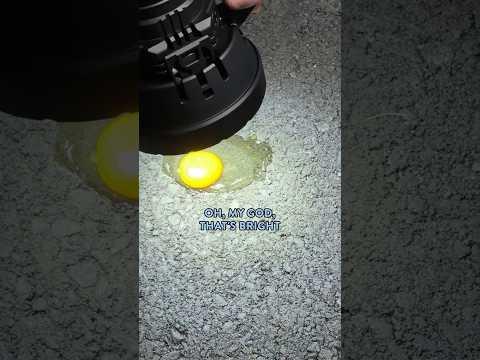 Can a Flashlight Cook an Egg?