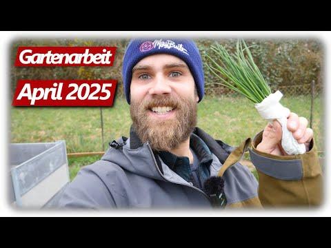 Gartenarbeit April | Erdbeeren, Beete vorbereiten, Frühling im Gemüsegarten mit Hochbeeten