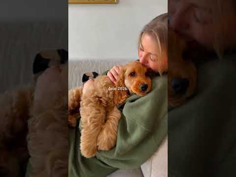 so wird dein 2026: ✨PET ERA✨