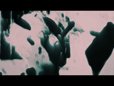 Jackson Wang - High Alone (Official Lyric Video)