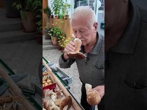 Pilze ohne Ende im Oktober 2025 Teaser #Pilze #Pilzesammeln #Steinpilze