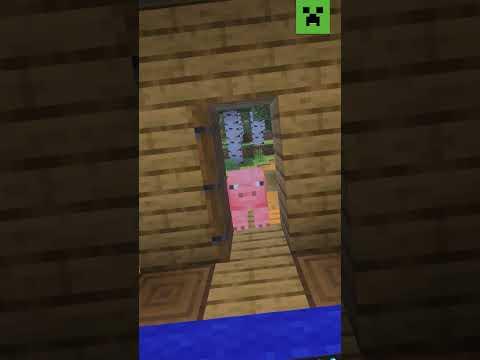 HOP ON THE SERVER....PLEASE?