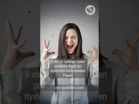 9 von 10 Spinnen haben panische Angst vor hysterisch kreischenden Frauen