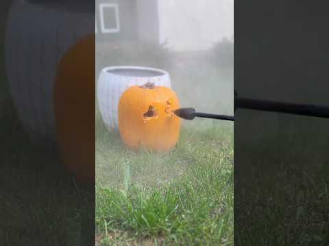 DAS ist der BESTE WEG Kürbisse zu schnitzen!! 🎃 heftiger Instagram Trick 😱