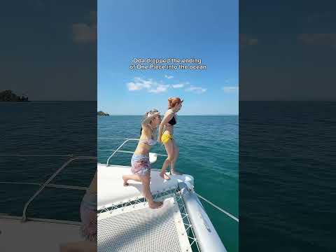 Let’s go find it! @QueenFesch #onepiece