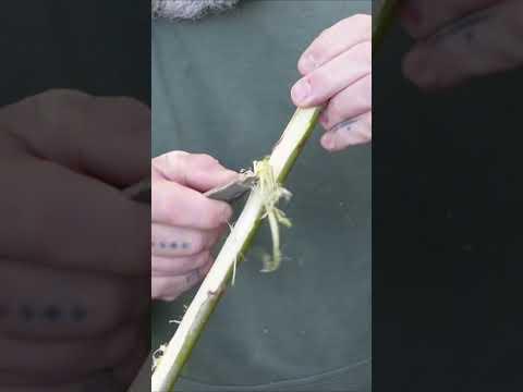 BEST Primitive STONE Survival Knife #survival #flintknapping #primitiveskills #campinglife #nature