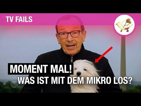 Mikrofonpanne: Wettermoderator spricht versehentlich 20 Minuten lang in Terrier