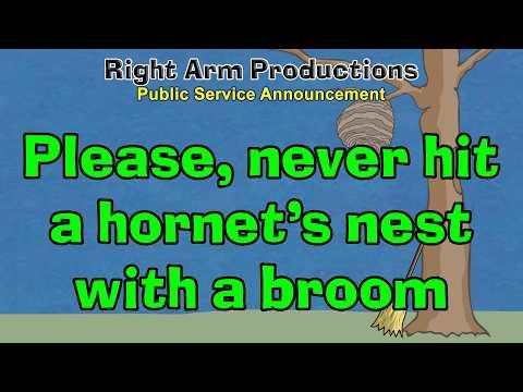 Public Service Announcements Series 2 008 Never Hit a Hornet's Nest with a Broom