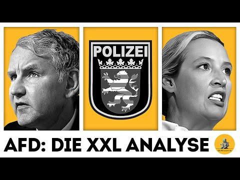Parteiverbot? 🚫 AfD-nahe Beamte entlassen? 📉 Ausland unterstützt AfD? 🇭🇺 & mehr
