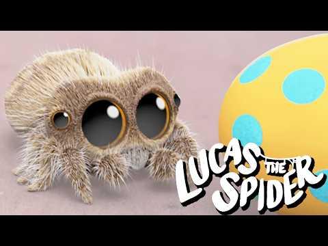 Lucas the Spider Finds an EASTER EGG!