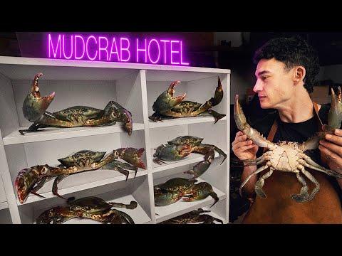 I Farmed Crabs In My Garage. Was It Worth It?