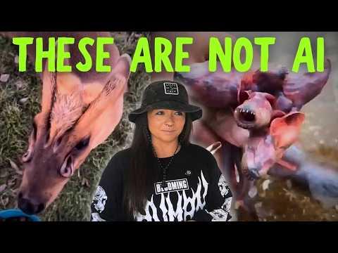 Zoologist Answers: WTF is THAT (Variety Pack) | Lindsay Nikole