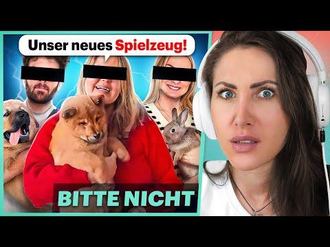 Haustiere sind das neue Spielzeug der Influencer!
