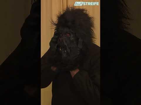 Auf Polizei uriniert! #aufstreife #polizei #crime #sat1