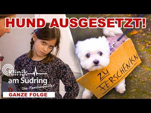 Kind (8) setzt Hund aus! Ein Hilferuf? | Familienhelfer