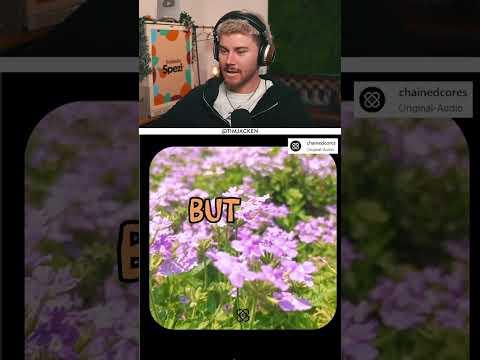 Motivational Content has come a long way - Streamclip @timjacken