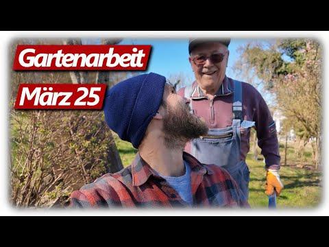 Gartenarbeit März | Möhren Aussaat im Hochbeet, Obstbaumschnitt, Parkplatz Problem