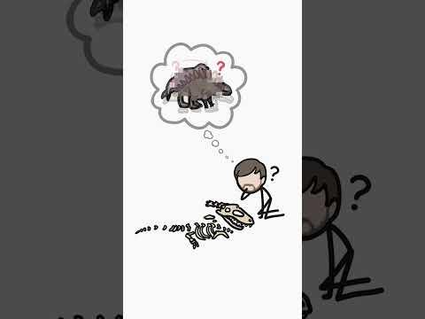 We don't know what Dinosaurs sounded like - but we DO know their temperature!